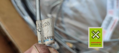 IMG_20230828_103831